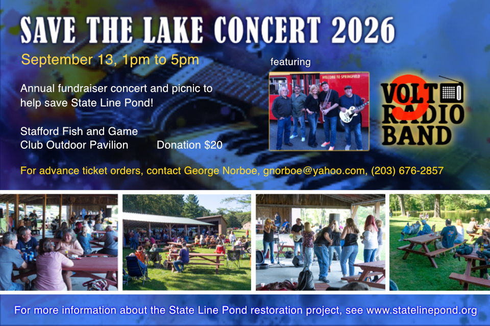 Concert 2026